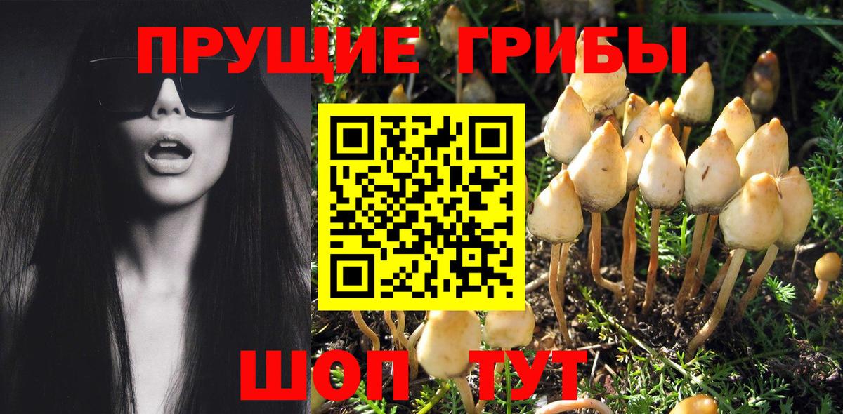 Псилоцибиновые грибы ЛСД Лянтор